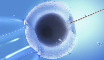 供卵代怀包生男孩机构